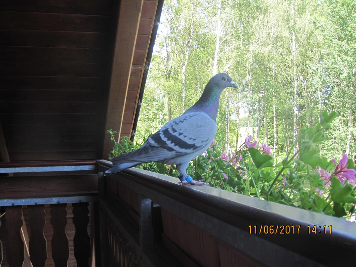 Chalupa Zlate Pisky Nove Krecany Bagian luar foto